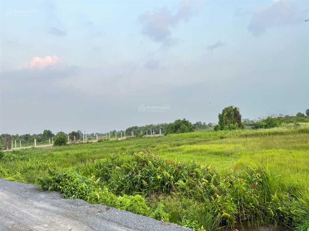 Đất kdc bình mỹ củ chi diện tích 1188m2 giá tốt