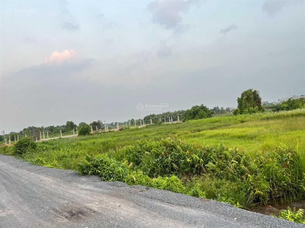Đất kdc bình mỹ củ chi diện tích 1188m2 giá tốt
