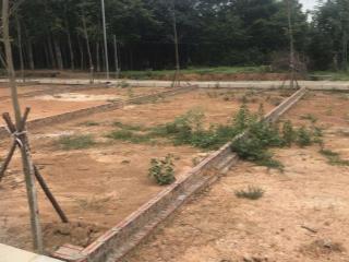 Cổ Đông, Hòa Lạc 80m2 ngay QL21, khu CNC, ĐHQG chỉ 2 tỷ