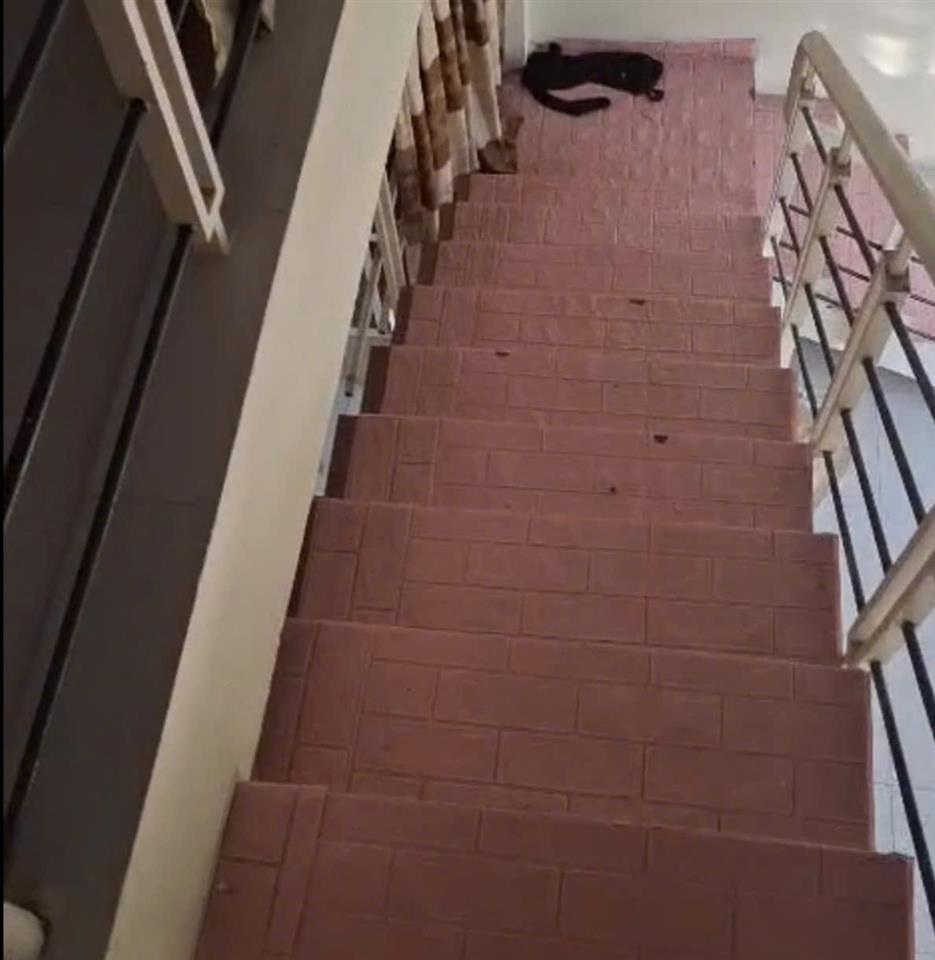 ♥ Cho thuê nhà MT Phó Đức Chính - Chính Hữu Nối Dài, 130m2, C4, 2pn 2WC, 7 triệu