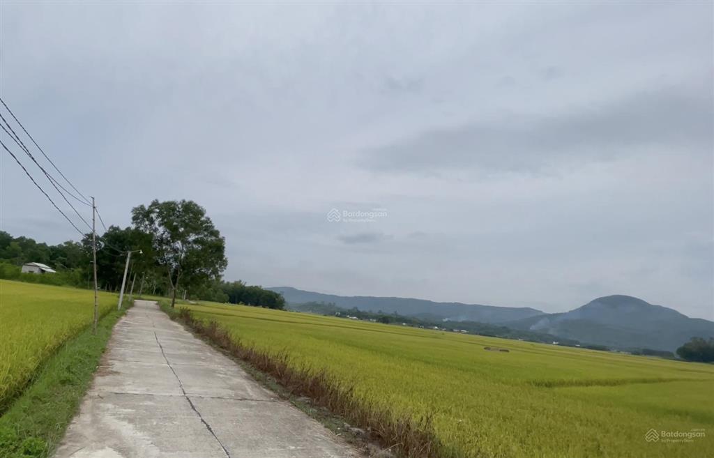 Bán đất 176m2 thổ cư  giá 545 triệu.  bán đất đà nẵng tại xã đồng dương  thăng bình, đà nẵng