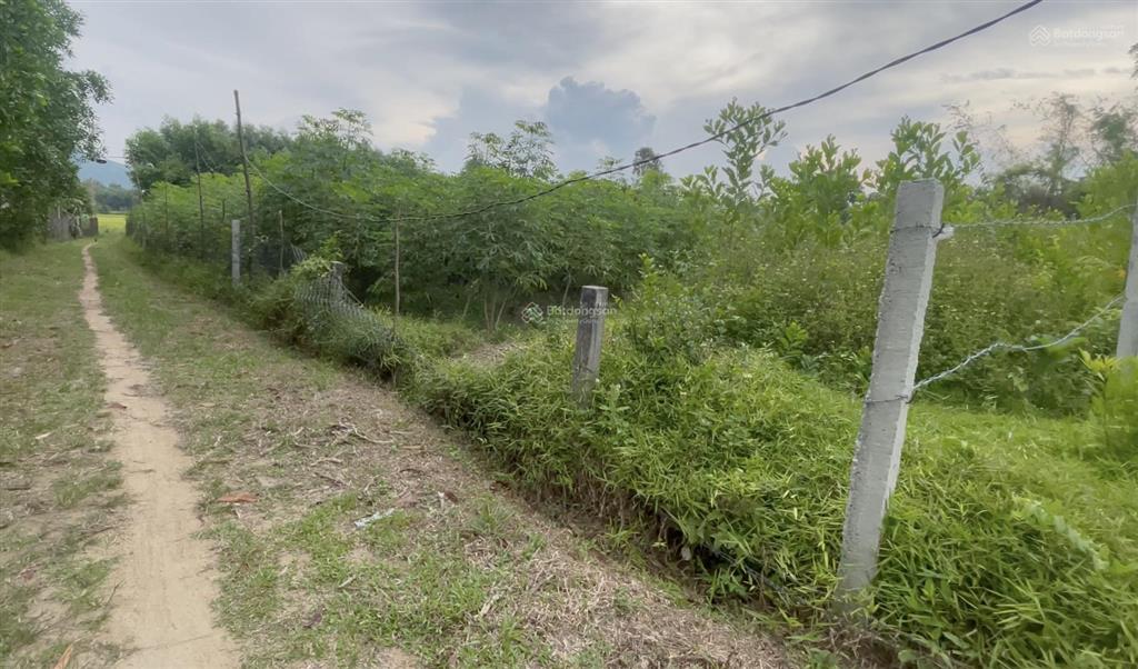 Bán lô đất đẹp full thổ cư  287m ngang 10 giá 535 triệu tại  xã bình định bắc huyện thăng bình
