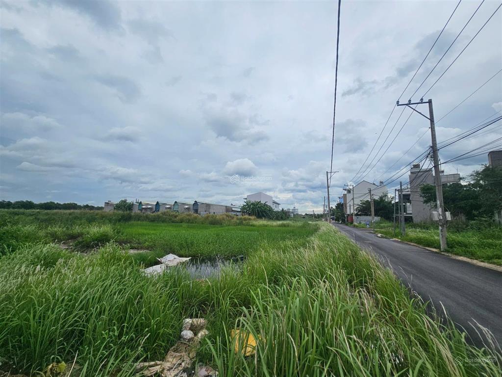 1.932m2 đất phú hữu (32.25x61) bưng ông thoàn q9
