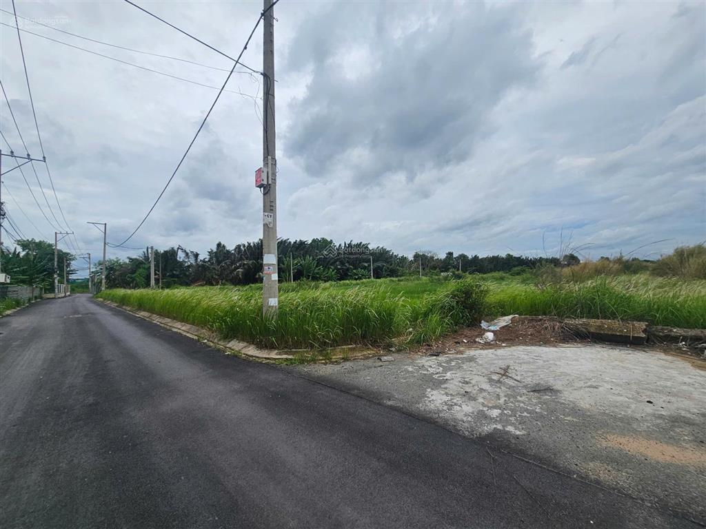 1.932m2 đất phú hữu (32.25x61) bưng ông thoàn q9