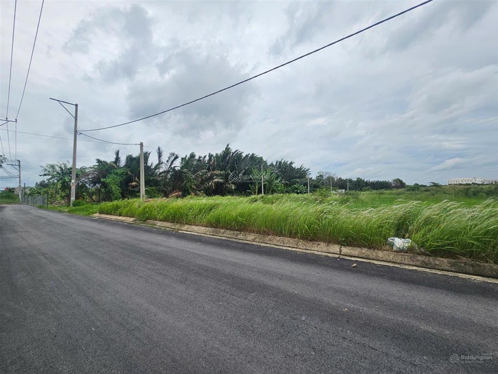 1.932m2 đất phú hữu (32.25x61) bưng ông thoàn q9