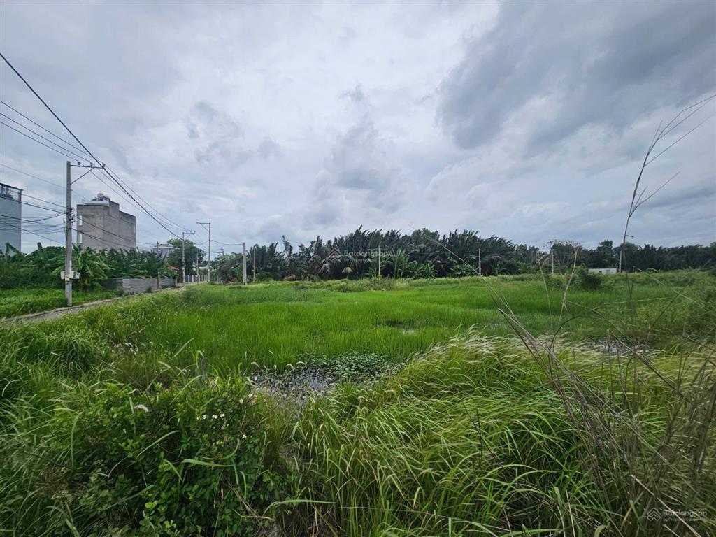 1.932m2 đất phú hữu (32.25x61) bưng ông thoàn q9