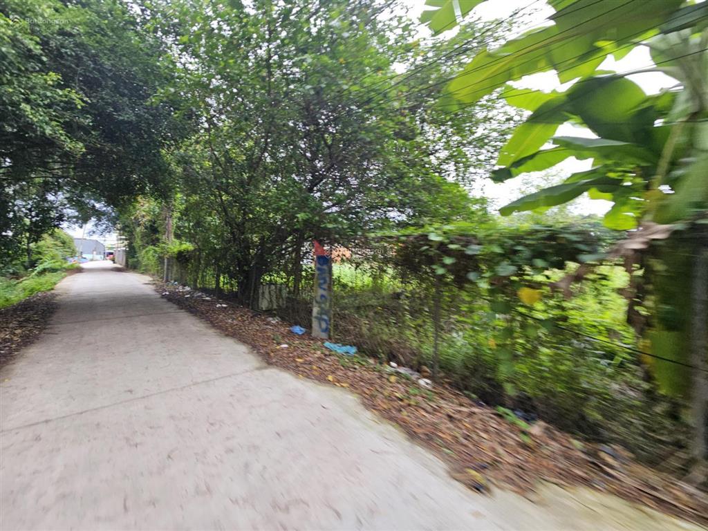 Cc  trần văn giàu 50x84 (3.283m2) đường xe tải
