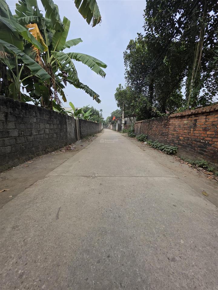 Gia đình cần bán 501m đất hoàng văn thụ, chương mỹ giá 10,5tr/m.