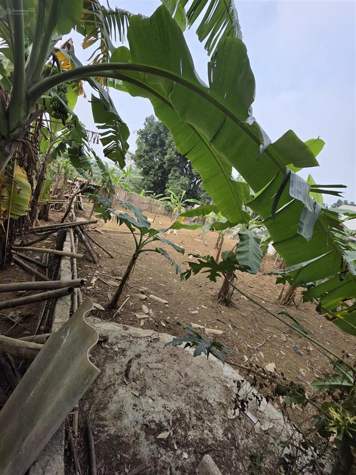 Gia đình cần bán 501m đất hoàng văn thụ, chương mỹ giá 10,5tr/m.