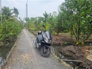 Bán vườn cây ăn trái 50x50m nằm 1 sẹc võ thị đầy, đường thông ra bùi công trừng