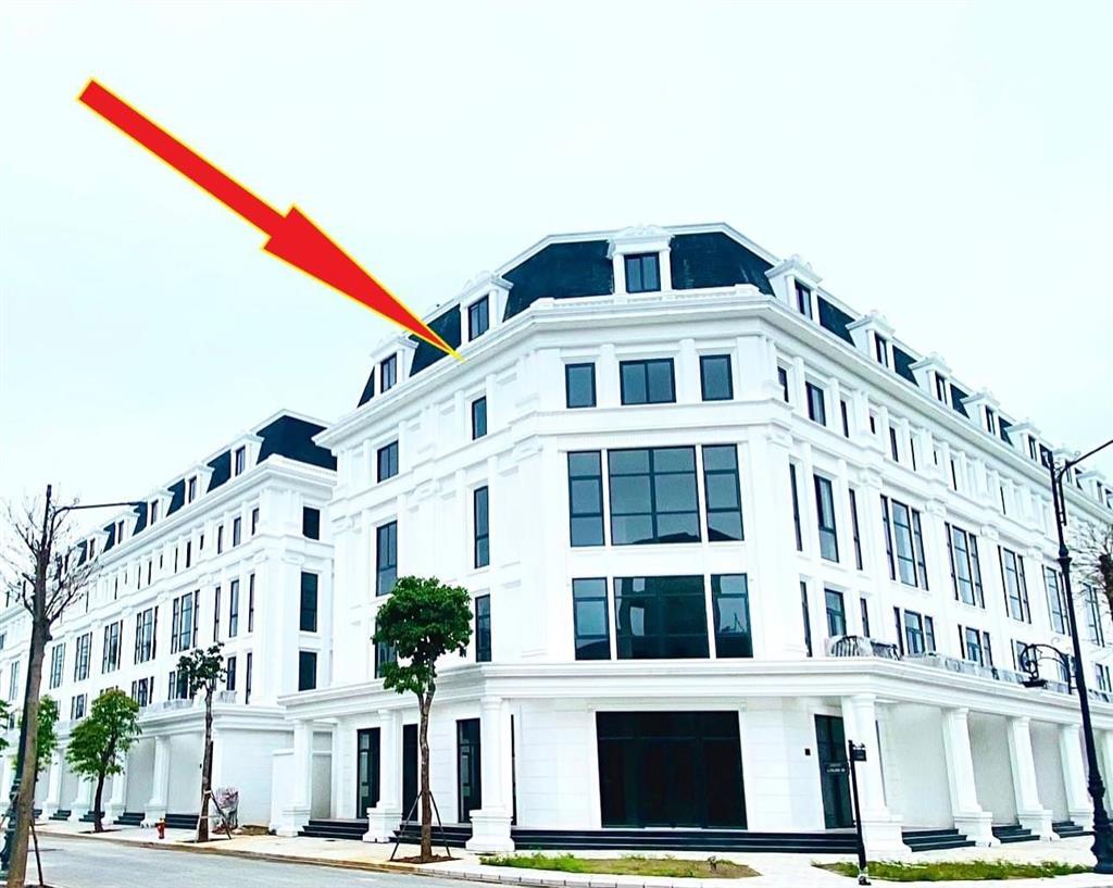 Chính chủ cần bán căn shophouse góc giá tốt nhất dự án louis city hoàng mai 0961 158 ***