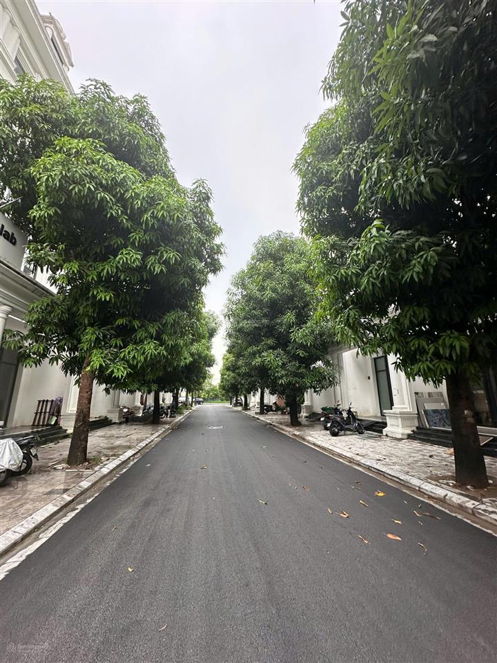 Căn shophouse giá tốt đường louis 2  vị trí đầu cổng vào  xem nhà 24/7  0922 660 ***