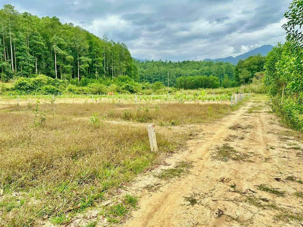 Chính chủ cần bán lô đất khánh thượng  khánh vĩnh