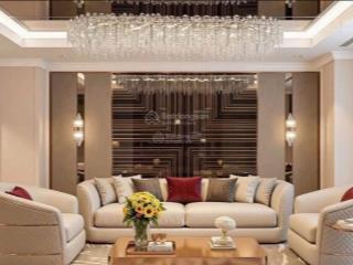 Đập thông dành cho bậc đế vương tại times city  park hill. diện tích 220m2 thiết kế 4pn layout đẹp