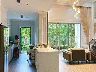 Gia đình bán căn duplex park premium diện tích gần 200m2  thiết kế 4pn  3vs  vuýp !