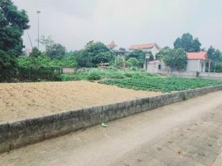 Hàng phân lô nhanh tay thì còn 726m2 có 300m2 thổ cư tại hồ văn sơn, nam phương tiến
