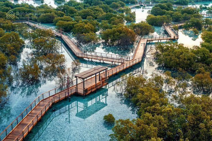 Siêu phẩm view biển  sát vinhomes hạ long xanh