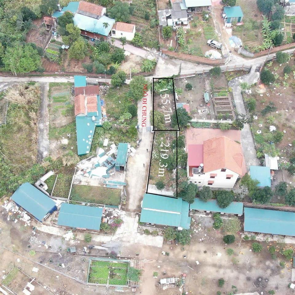 Cần bán lô đất đẹp, tại trung tâm câu kho gạo phường việt hưng, hạ long