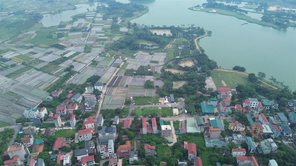 Bán đất đấu giá x4 xóm đầm vân nội  vị trí đắc địa