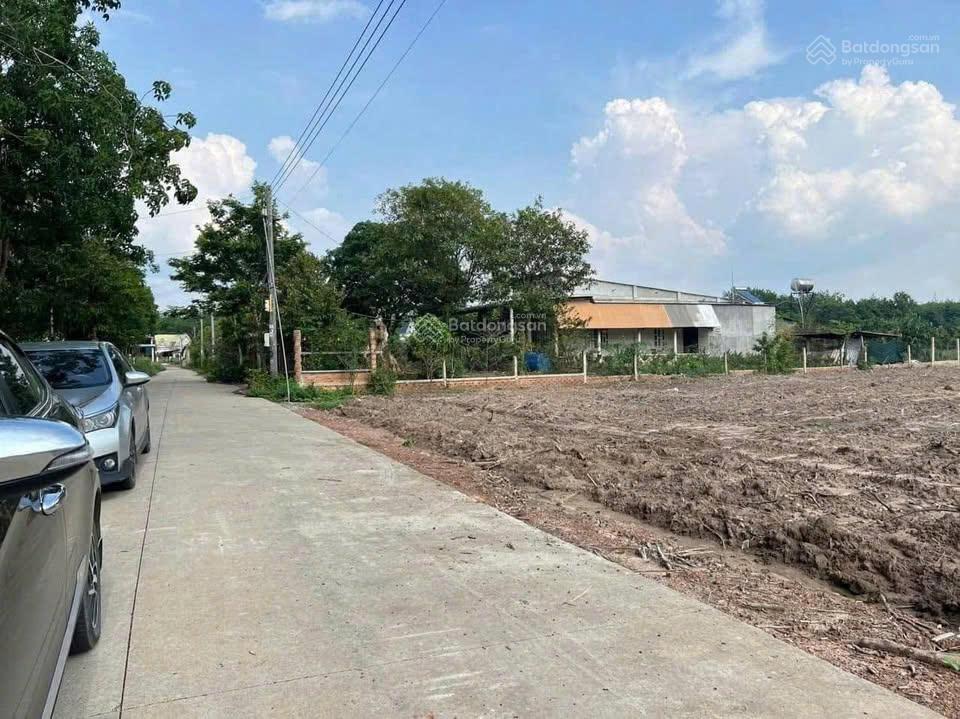 Ngộp bank cần ra gấp lô đất đẹp đối diện trường học, cách ubnd tân hiệp chỉ 500m giá 580 triệu. shr