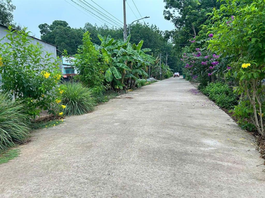 Ngộp bank cần ra gấp lô đất đẹp đối diện trường học, cách ubnd tân hiệp chỉ 500m giá 580 triệu. shr