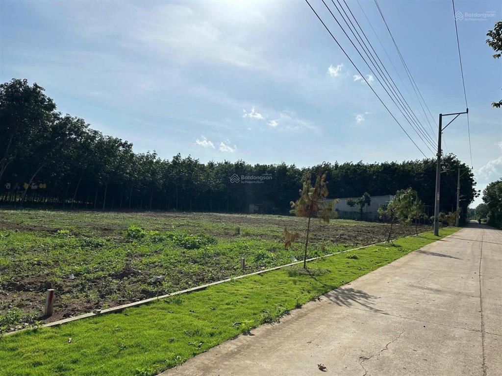 Cần tiền bán nhanh lô đất ngay cổng kcn an linh 1000hec, 250m2 giá 550tr shr