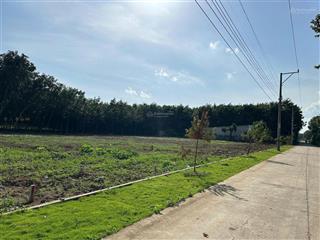 Cần tiền bán nhanh lô đất ngay cổng kcn an linh 1000hec, 250m2 giá 550tr shr