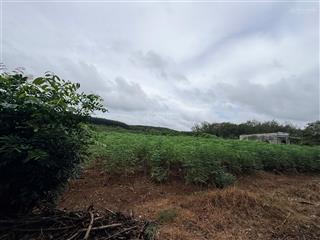 Công ty đấu giá hợp danh đông nam thông báo đấu giá tài sản