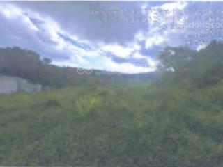 Công ty đấu giá hợp danh đông nam thông báo đấu giá tài sản