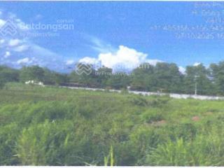 Công ty đấu giá hợp danh đông nam thông báo đấu giá