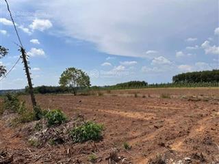 Công ty đấu giá hợp danh đông nam thông báo đấu giá tài sản