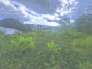 Công ty đấu giá hợp danh đông nam thông báo đấu giá tài sản