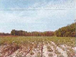 Công ty đấu giá hợp danh đông nam thông báo đấu giá tài sản