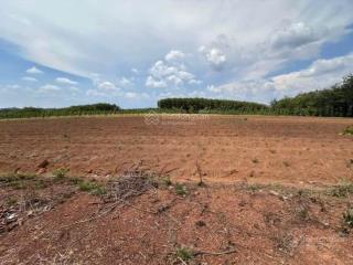 Công ty đấu giá hợp danh đông nam thông báo đấu giá tài sản