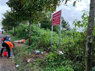 Công ty đấu giá hợp danh đông nam đấu giá tài sản