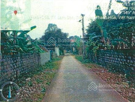 Công ty đấu giá hợp danh đông nam đấu giá tài sản