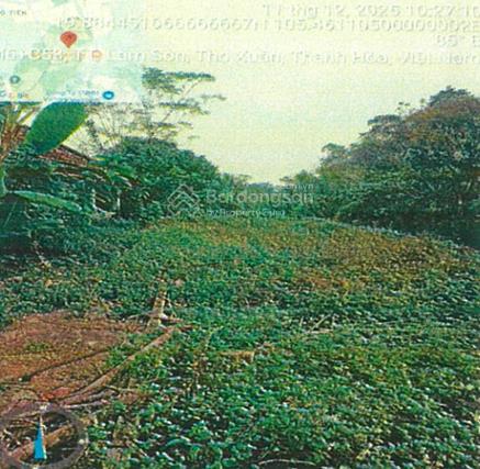 Công ty đấu giá hợp danh đông nam đấu giá tài sản