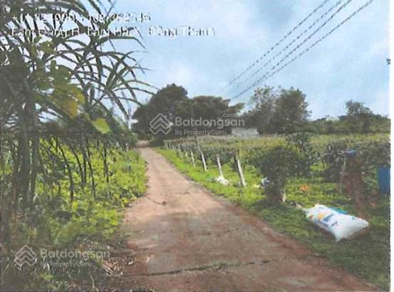 Công ty đấu giá hợp danh đông nam đấu giá tài sản