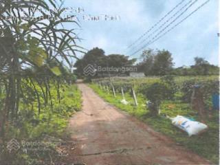 Công ty đấu giá hợp danh đông nam đấu giá tài sản