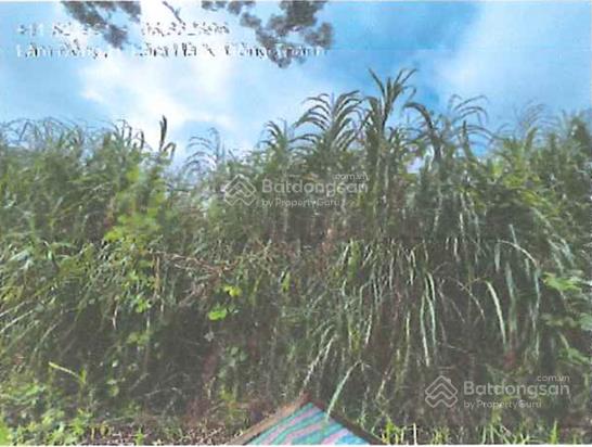 Công ty đấu giá hợp danh đông nam đấu giá tài sản