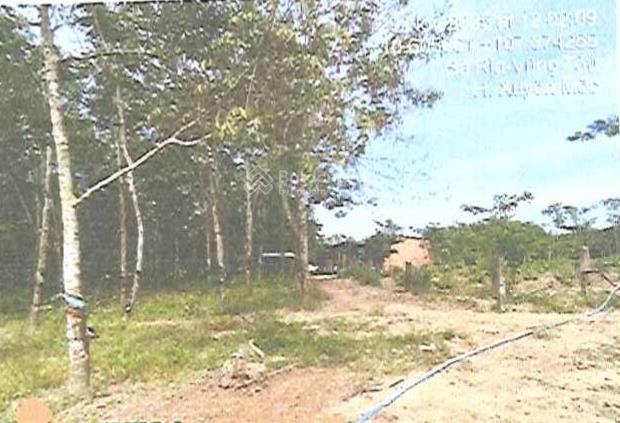 Công ty đấu giá hợp danh đông nam thông báo đấu giá tài sản