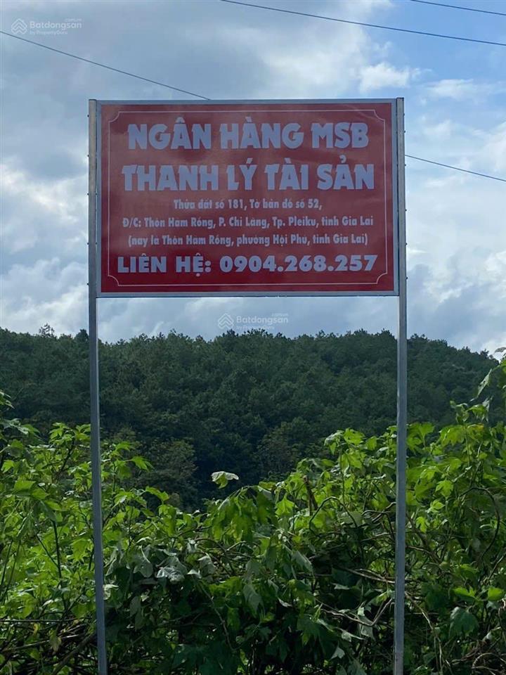 Công ty đấu giá hợp danh đông nam đấu giá tài sản