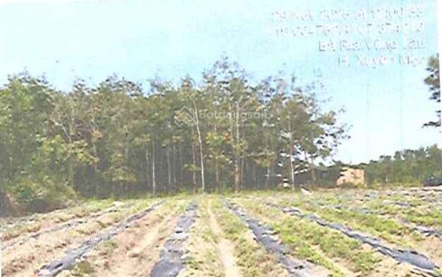 Công ty đấu giá hợp danh đông nam thông báo đấu giá tài sản
