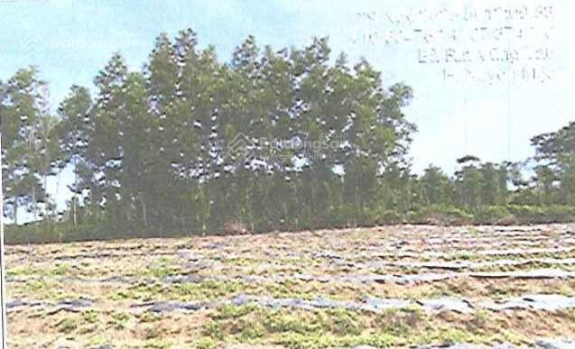 Công ty đấu giá hợp danh đông nam thông báo đấu giá tài sản