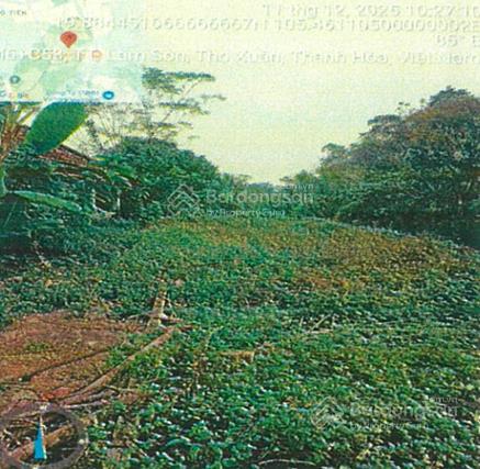Công ty đấu giá hợp danh đông nam thông báo đấu giá tài sản