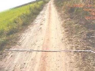 Công ty đấu giá hợp danh đông nam thông báo đấu giá tài sản