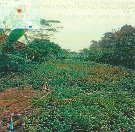 Công ty đấu giá hợp danh đông nam thông báo đấu giá tài sản