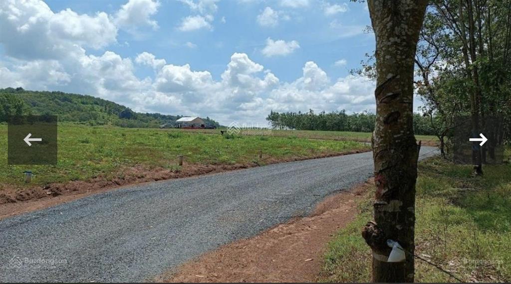 Bán đất có thổ cư 210m2 giá lỗ 450tr xã lộc thành, lộc ninh bp
