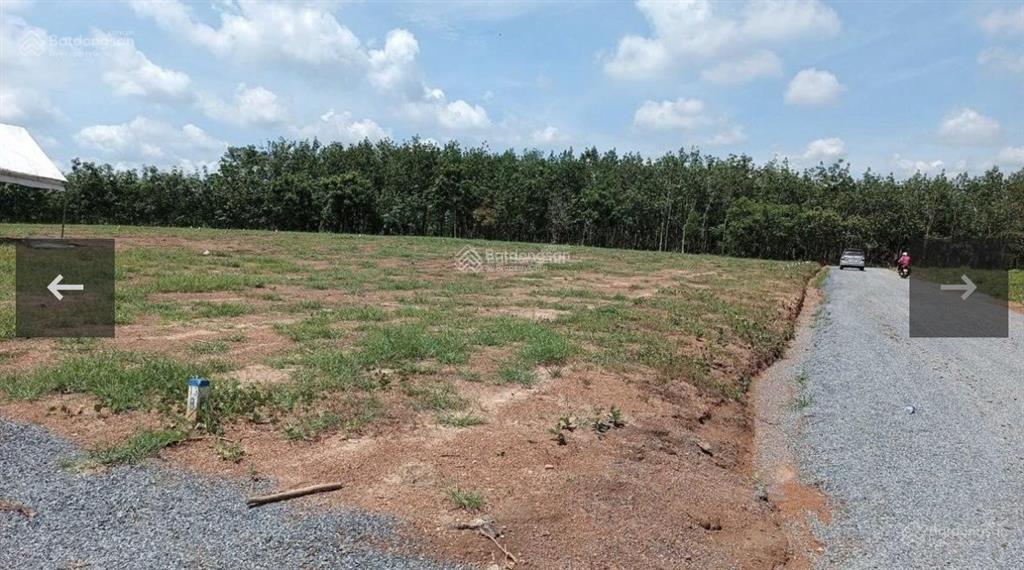 Bán đất có thổ cư 210m2 giá lỗ 450tr xã lộc thành, lộc ninh bp