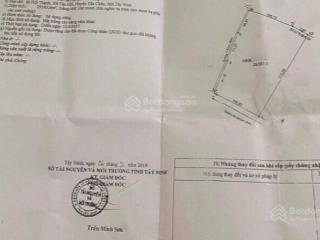 Bán đất mt đường 24 hội thạnh, tân hội, tân châu, tây ninh
